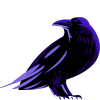 raven logo